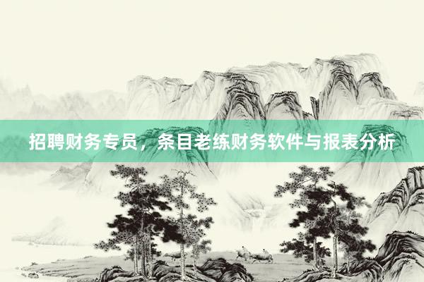 招聘财务专员，条目老练财务软件与报表分析