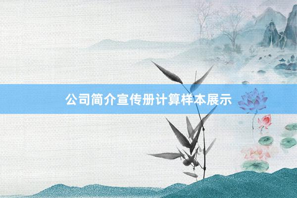 公司简介宣传册计算样本展示