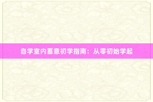 自学室内蓄意初学指南：从零初始学起