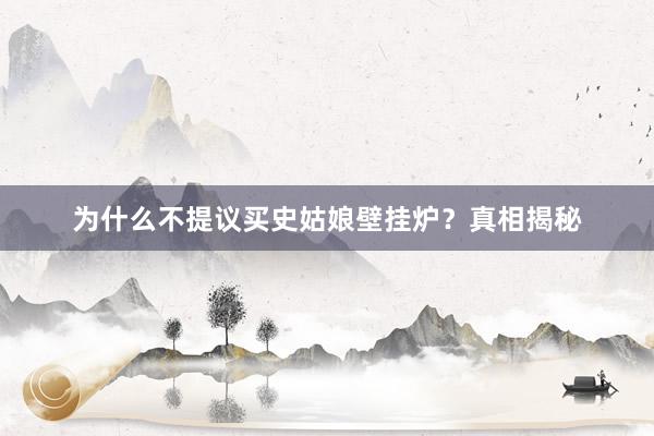 为什么不提议买史姑娘壁挂炉？真相揭秘