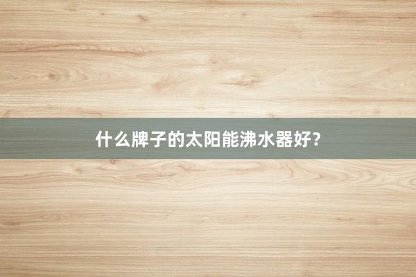 什么牌子的太阳能沸水器好？