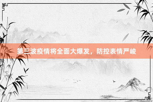 第三波疫情将全面大爆发，防控表情严峻